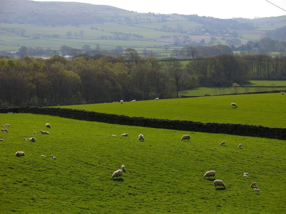 Cartmel Barn: Beckside Stables别墅 外观 照片